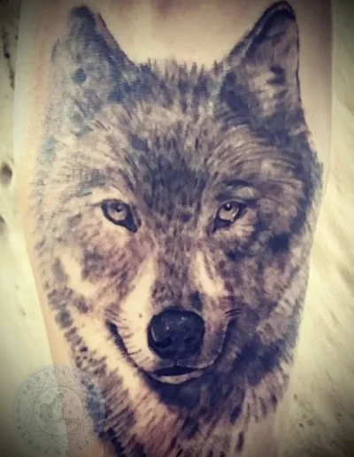 Wolf Tattoo by Forrest Lang